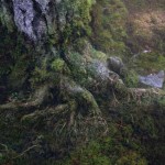 L'origine du portail magique