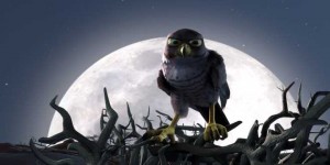 tendai - Drôles d'oiseaux