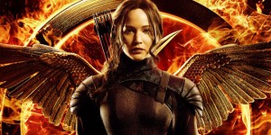 sorties du mois de novembre