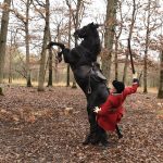 Ecole buissoniere-jour 37